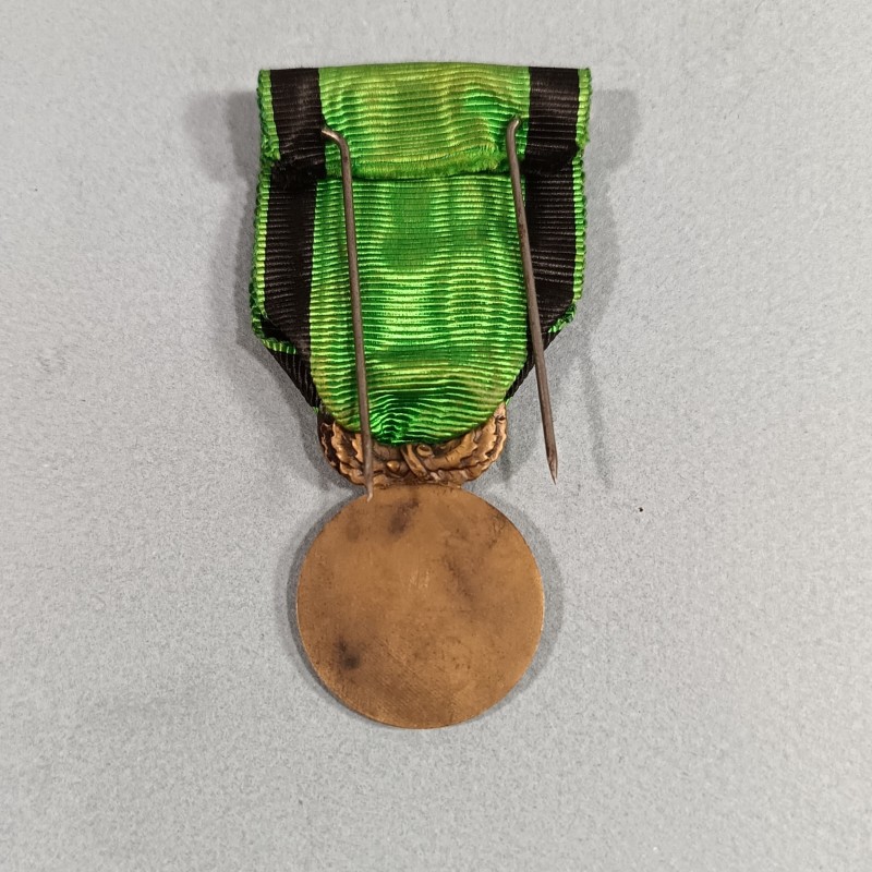 MEDAILLE DE SAUVETAGE SAUVETEURS TOULOUSAINS HONNEUR COURAGE DEVOUEMENT